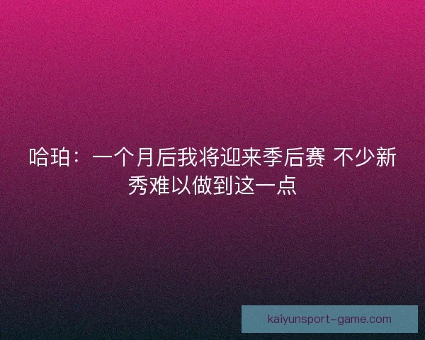 哈珀：一个月后我将迎来季后赛 不少新秀难以做到这一点