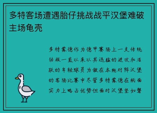 多特客场遭遇胎仔挑战战平汉堡难破主场龟壳